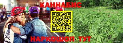 мет Ливны