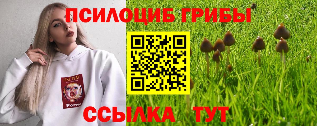 Галлюциногенные грибы Psilocybine cubensis Южно-Сахалинск